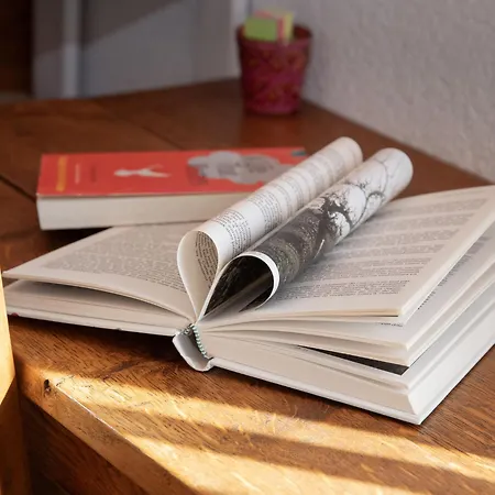 Orchidee By Interhome Chalet Ovronnaz