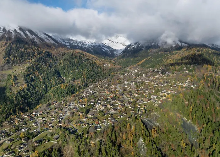 Orchidee By Interhome Ovronnaz